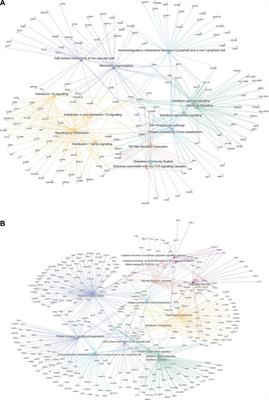 Banff Human Organ Transplant Consensus Gene Panel for the Detection of Antibody Mediated Rejection in Heart Allograft Biopsies